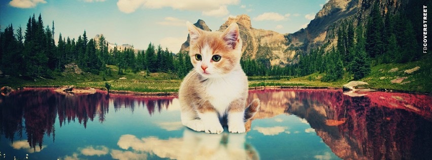 Cute Kitten Mountain Scenery  Facebook cover