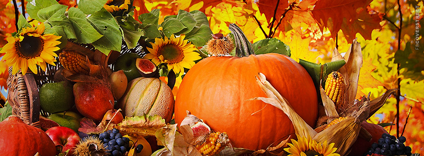 Fall Autumn Pumpkin Food Assortment  Facebook cover