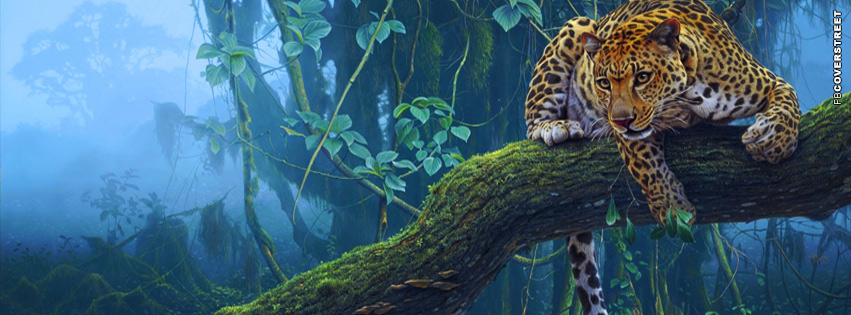 Leopard In The Jungle Photo  Facebook cover