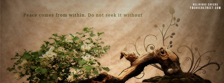 Peace Comes From Within Wallpaper