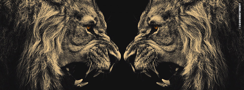 Lions Angry  Wallpaper