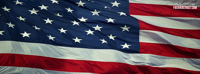 United States of America Flag 2 Picture