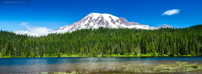 Lush Green Forest And Mountain Wallpaper