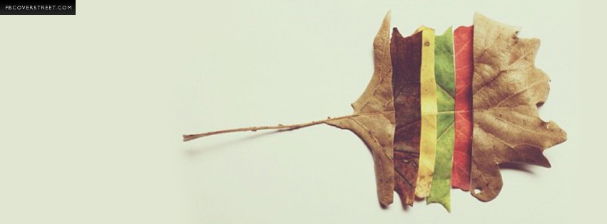 Fall Autumn Leaf Changes  Wallpaper
