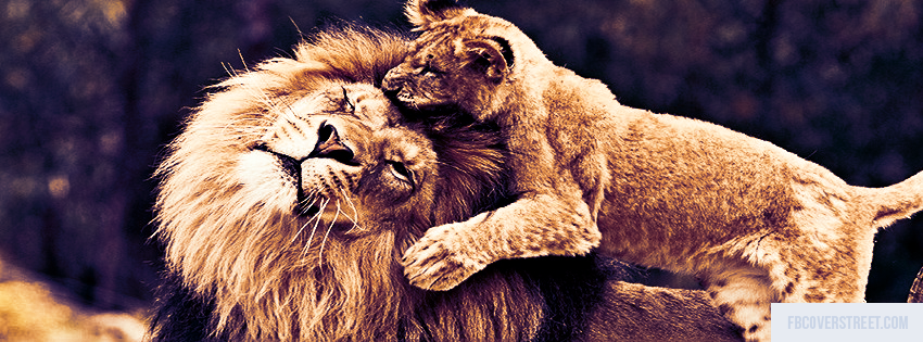Lion and Cub Picture