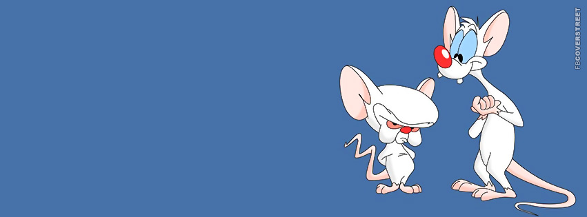 Pinky and The Brain Cartoon Cover  Picture