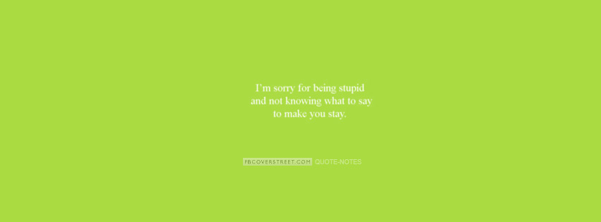Sorry For Being Stupid and Not Know Wallpaper