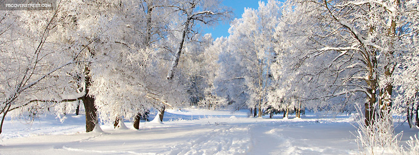 Snow Tracks Photograph Facebook Cover