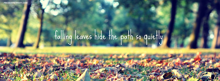 Falling Leaves Hide The Path Wallpaper