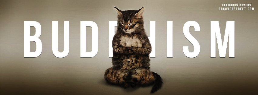 Meditating Buddhist Cat Wallpaper