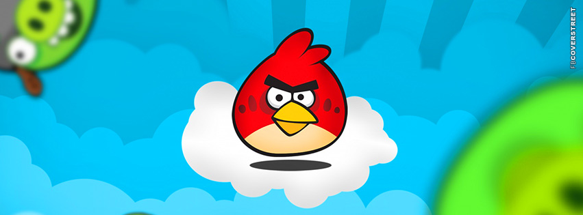 Angry Birds Red Bird  Picture