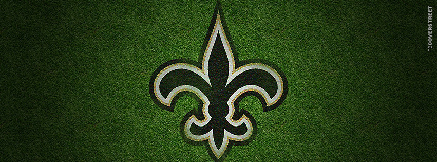 New Orleans Saints Grass Logo Cover  Wallpaper